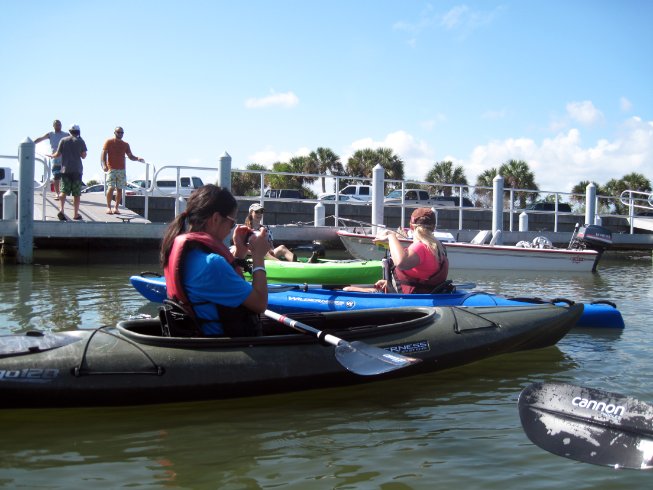 Filming manatees